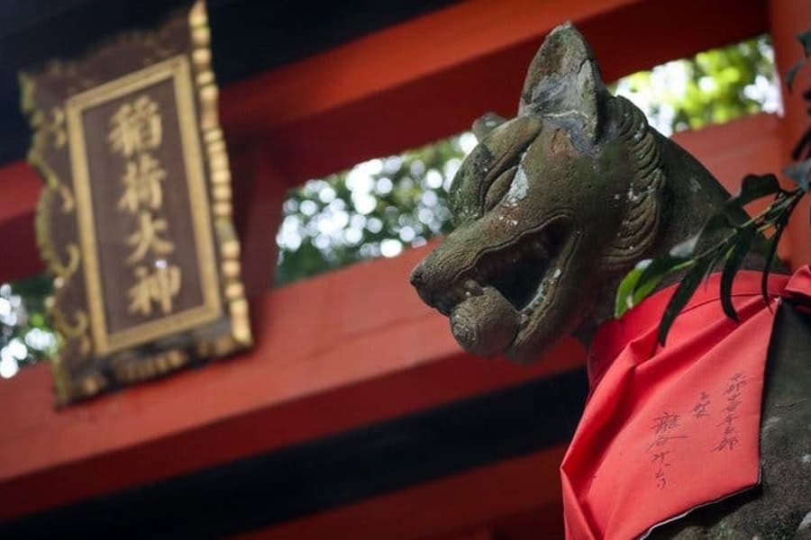 Fushimi Inari Hidden Hiking Tour (Private Option Available), Kyoto