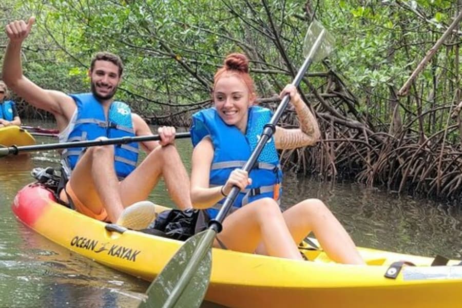 Mangrove Jungle: SUP/Kayak Adventure + Drinks, at Miami Water Activities, Miami
