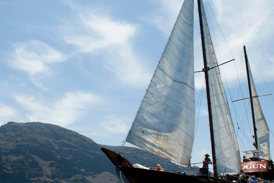 Los Gigantes: 5-Hr Guided Whale Watching Cruise from Costa Adeje + Lunch, Los Cristianos