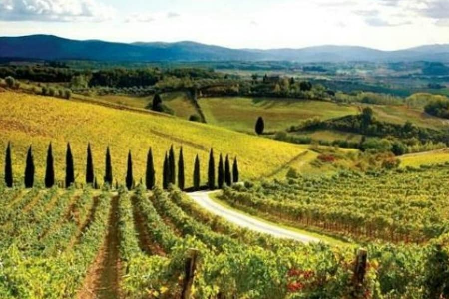 Chianti, Montalcino & San Gimignano: Wine Tasting + Day Trip from Siena, at Day Trips from Siena, Siena