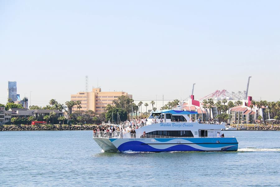 Long Beach Whale Watching and Dolphin Tour, at Harbor Breeze Cruises