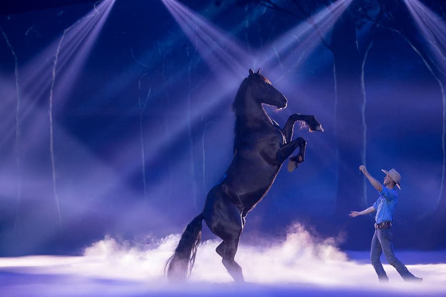 آسٹریلین آؤٹ بیک اسپیکٹکلر ہارٹ لینڈ شو ٹکٹس کے ساتھ رات کا کھانا, at Australian Outback Spectacular, Gold Coast