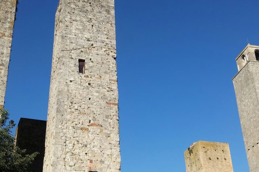 San Gimignano: Vineyard Guided Tour + Wine Tasting + Lunch, at Siena Wine Tasting, Siena
