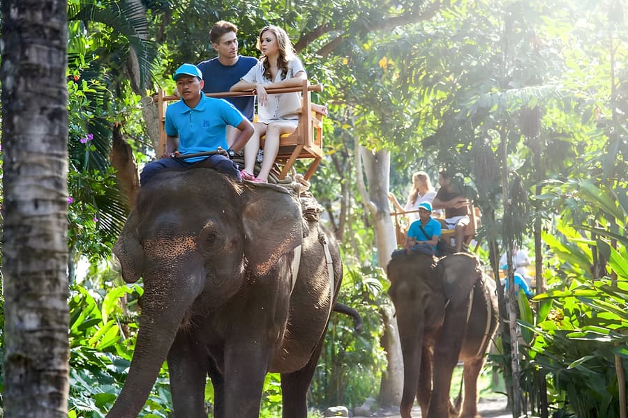 Bilhetes de Entrada para o Zoo de Bali: Residentes na Indonésia, at Bali Zoo, Bali