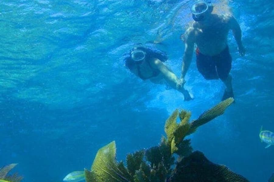 Double Dip Snorkel Trip, Key West
