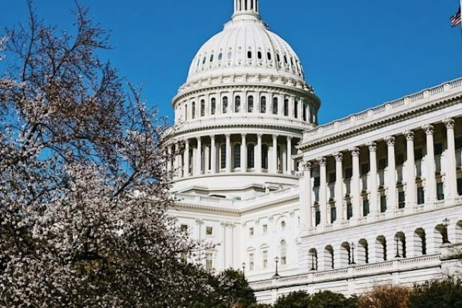 Capitol Hill: Small-Group Guided Walking Tour, Washington DC