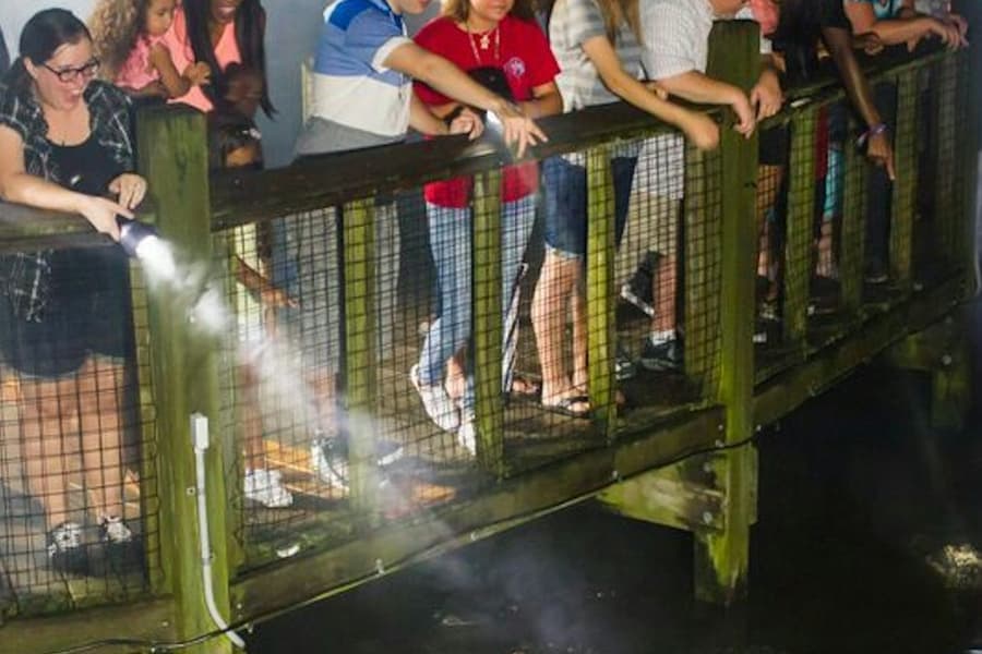 Gatorland Orlando: Gator Night Shine, at Gatorland Orlando