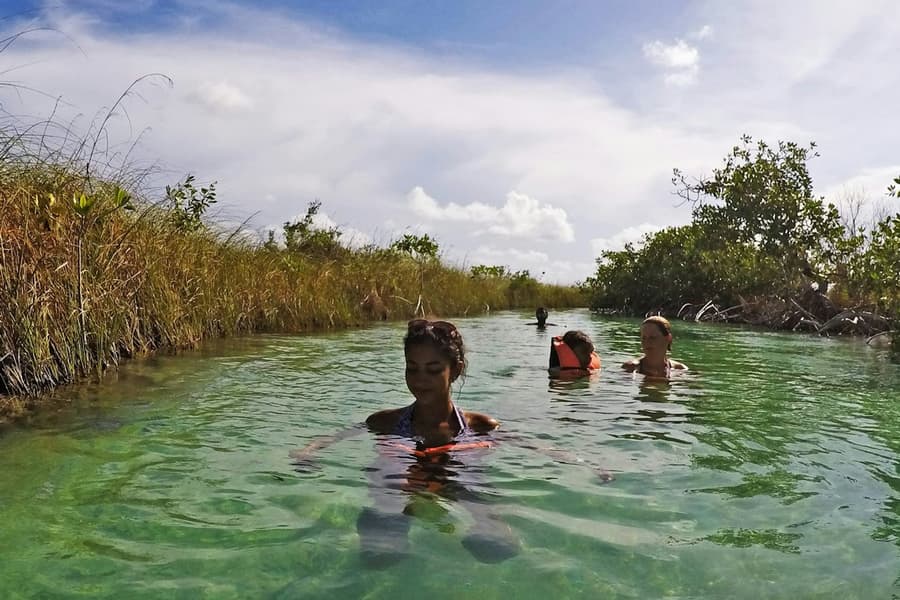 Sian Ka'an Biosphere Reserve & Muyil Ruins: Guided Tour + Boat Ride + Transfer, at Sian Ka'an Biosphere Reserve, Tulum