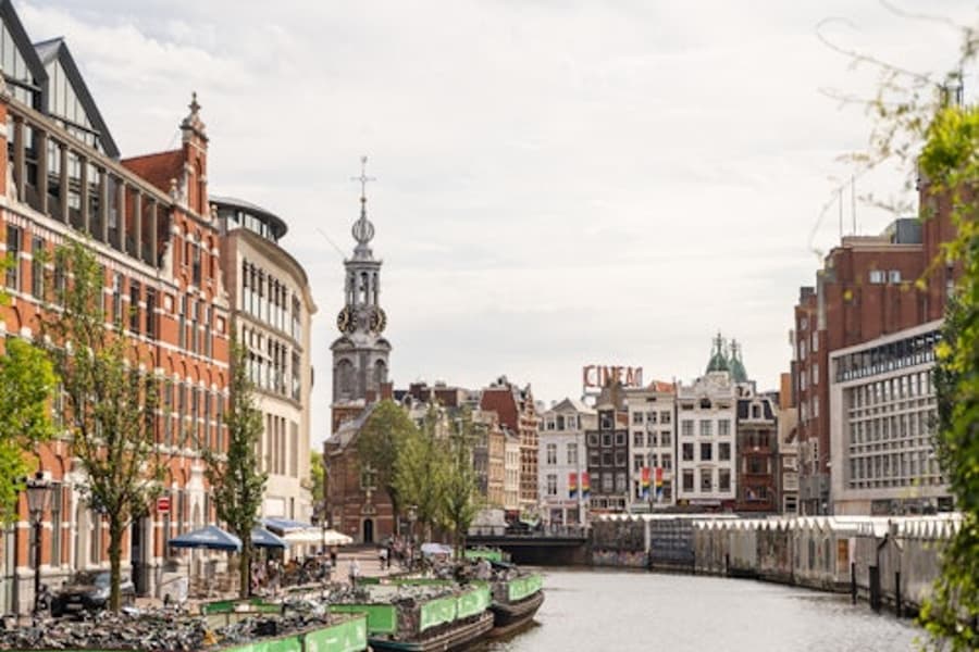 Amsterdam City Highlights: 2.5-Hour Guided Tour