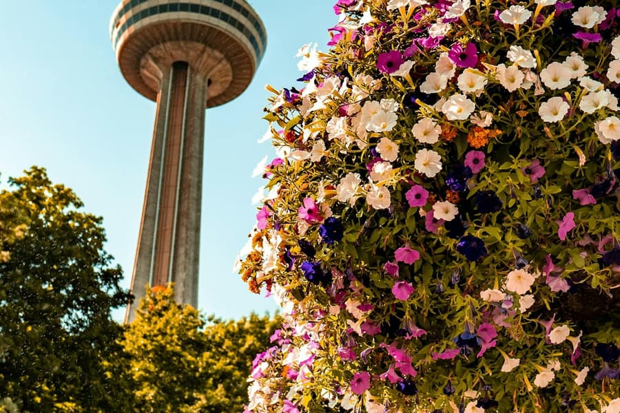 Niagara Falls: Guided Tour with Boat Cruise, Cave of the Winds & Skylon Tower, at Niagara Falls Tours & Attractions (USA), Niagara Falls (US)