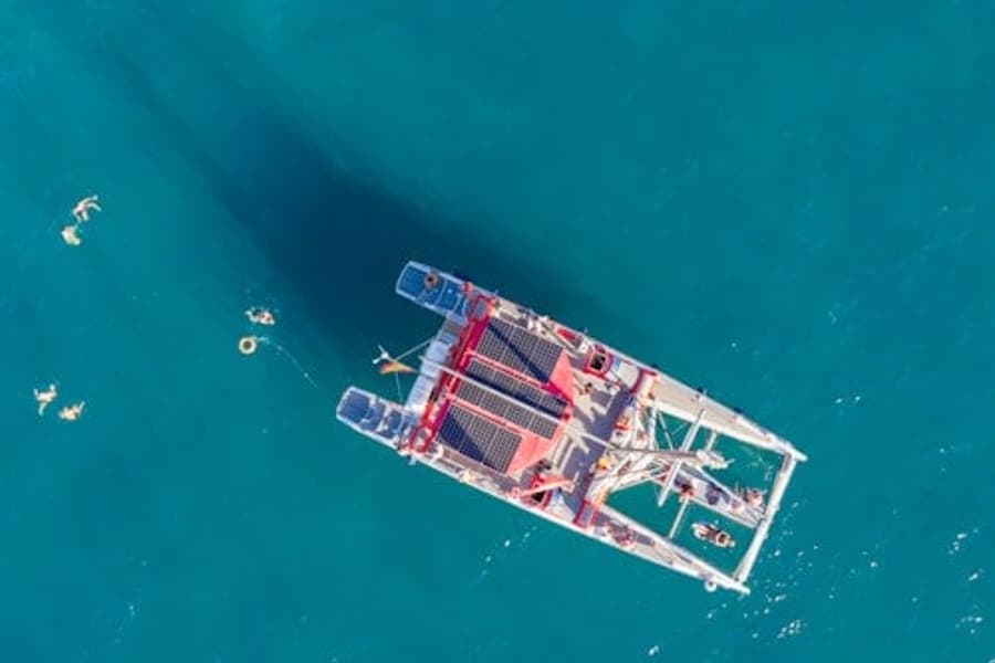 Tenerife: Tur ecologic cu catamaranul de 3 ore pentru observarea balenelor și delfinilor, at Tenerife Sailing Tours, Costa Adeje