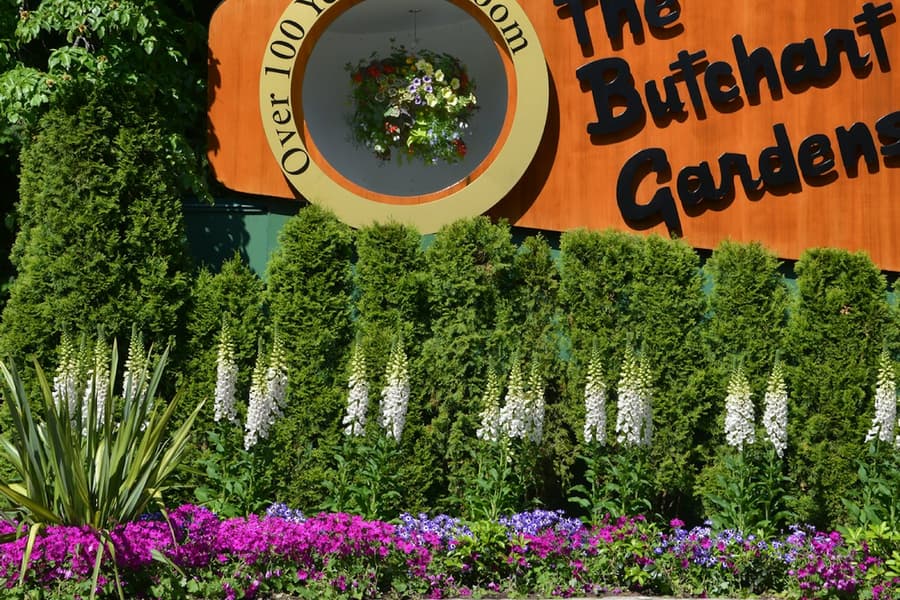 Roundtrip Transport from Victoria to Butchart Gardens, at The Butchart Gardens