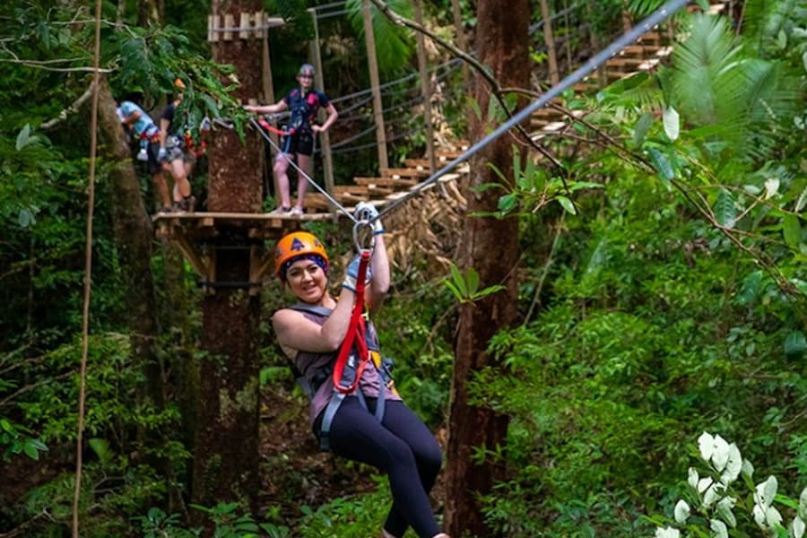 Treetops Adventure - Cape Tribulation, at Treetops Adventure Cape Tribulation