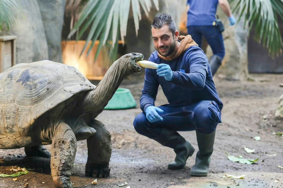 ZooParc de Beauval 2-Day Entry Ticket, Loire Valley