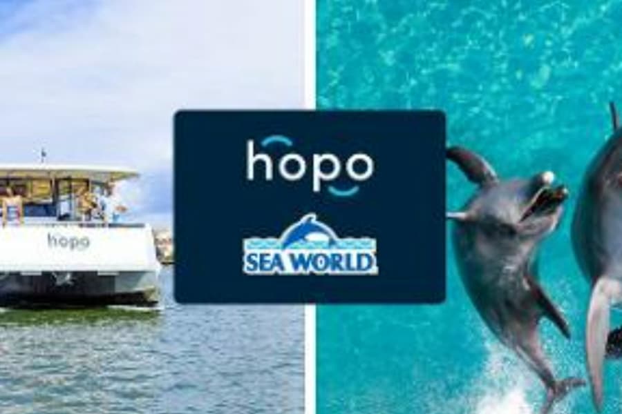 Sea World Gold Coast: Entry Ticket + Roundtrip Ferry at Sea World Cruises