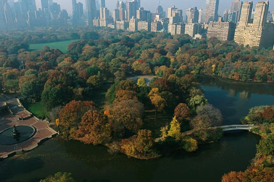 New York: Upper & Lower Manhattan Guided Tour in Spanish, at New York Walking Tours