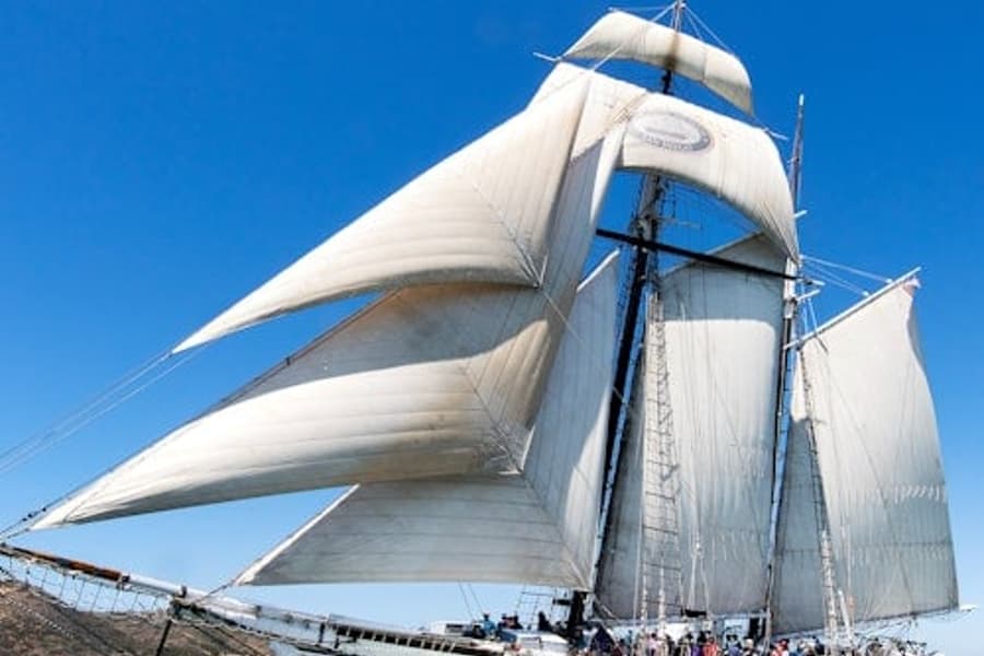 Port de San Diego: Tour en Veler Històric, San Diego