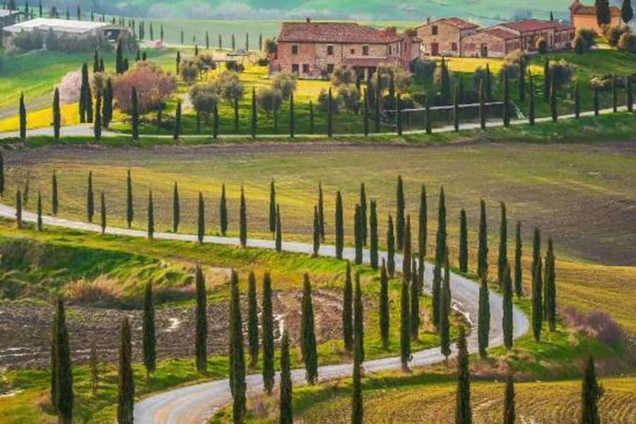 Montalcino: Wine Tasting Tour from San Gimignano, at Day Trips from Siena, Siena