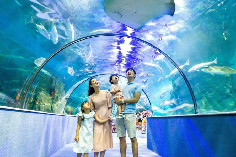 VinKE & Vinpearl Aquarium: Entry Ticket, Hanoi