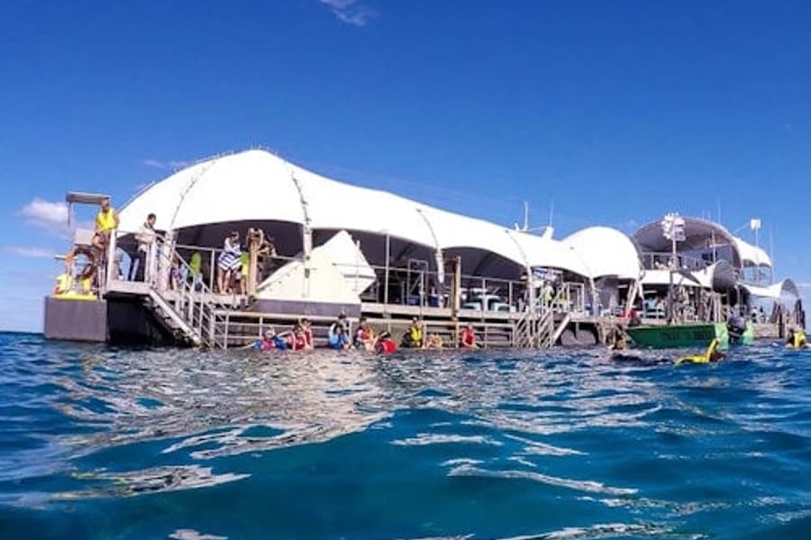 Great Barrier Reef Adventure from Cairns