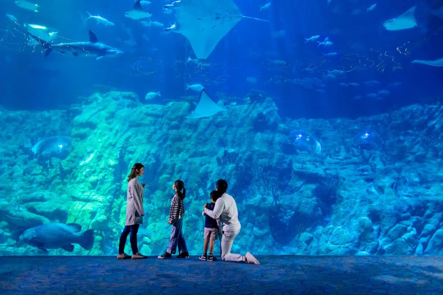 Ocean Park Hong Kong Tickets, Hong Kong