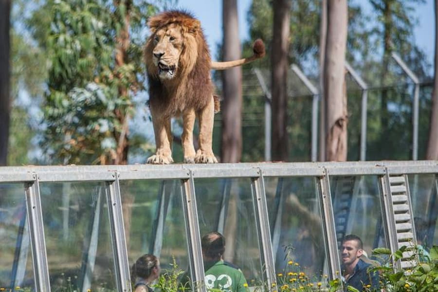Zoo Santo Inácio: Skip The Line Ticket, at Zoo Santo Inácio, Porto