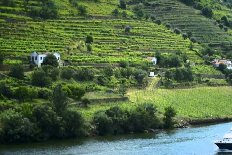 Douro Valley: Cruise + Breakfast, Lunch & Wine from Porto tickets at Douro Valley Day Trips from Porto