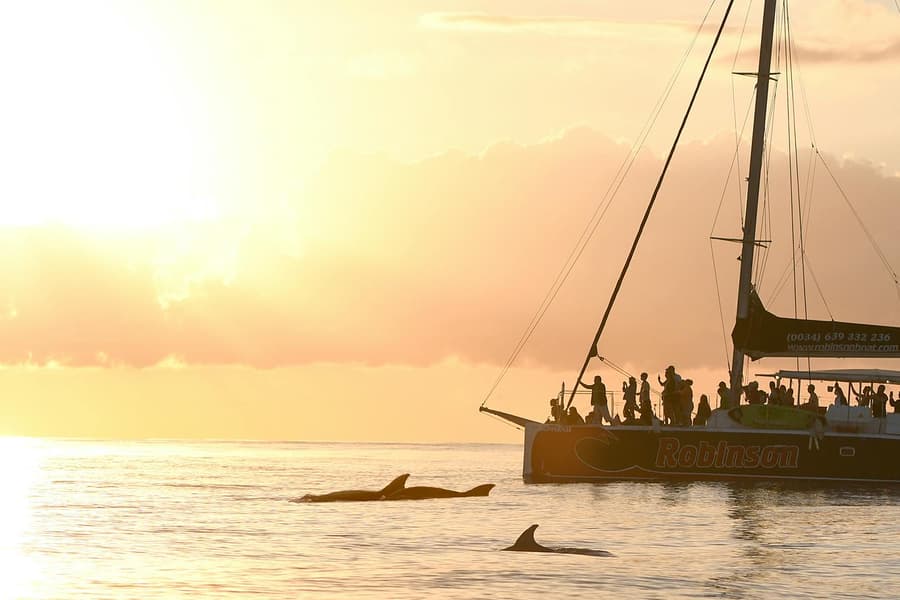 Mallorca Sunrise and Dolphin Watching Catamaran, Mallorca