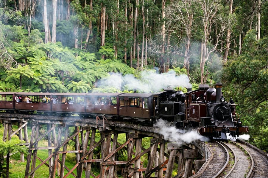 Puffing Billy Railway: Ride & Wildlife Tour + Transfers