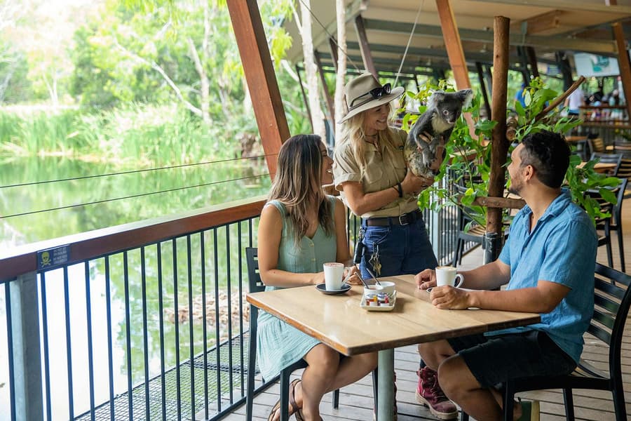 Hartley's Koala Breakfast, at Hartley's Crocodile Adventures, Cairns