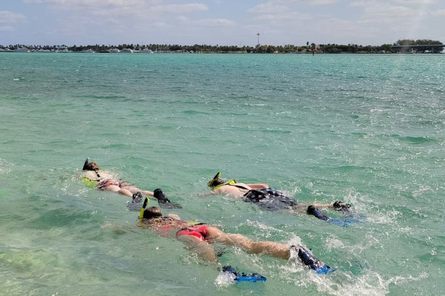 Miami: Island Snorkeling Tour by SUP or Kayak, at Miami Water Activities