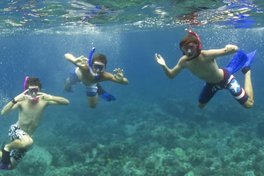 Kealakekua Bay and Captain Cook: Snorkeling Experience, at Sailing Trips in Kailua-Kona, Kailua-Kona