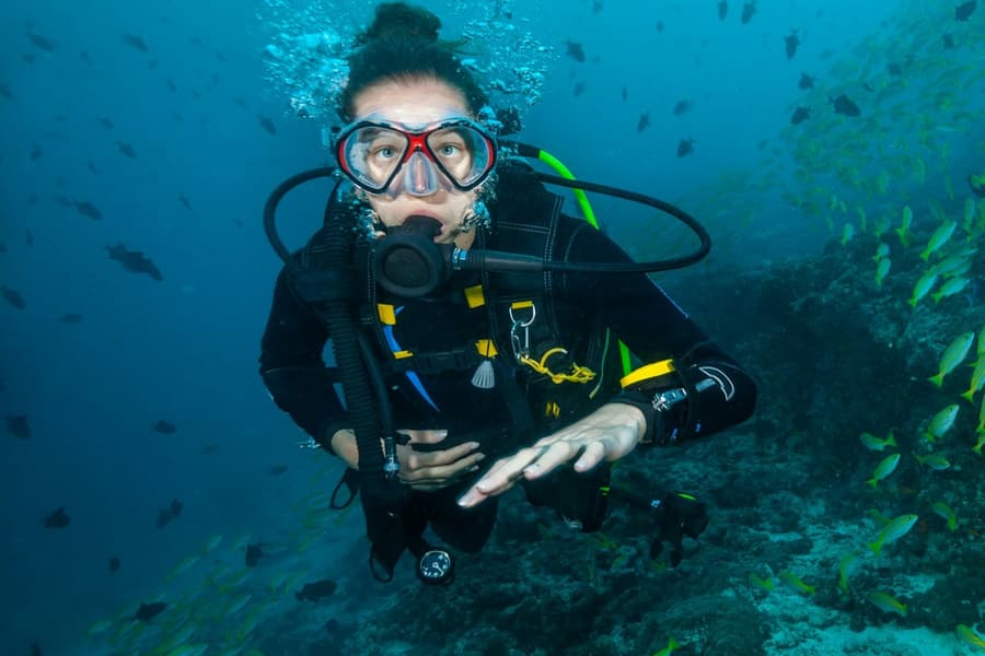 Beginner Scuba Diving Tour with Videos, Honolulu