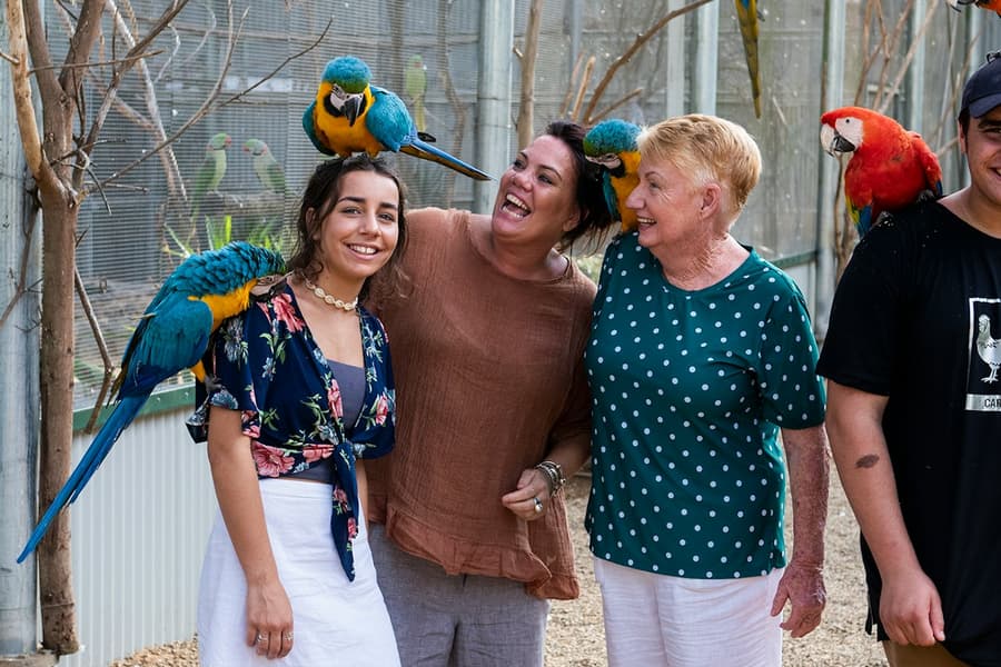 Maleny Botanic Gardens & Bird World: Entry Ticket, at Maleny Botanic Gardens & Bird World, Maleny
