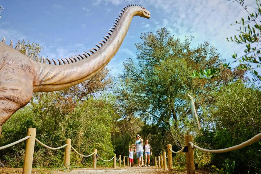 From Alcúdia: Hams' Caves Half-Day Trip with Dinosaurland, Mallorca
