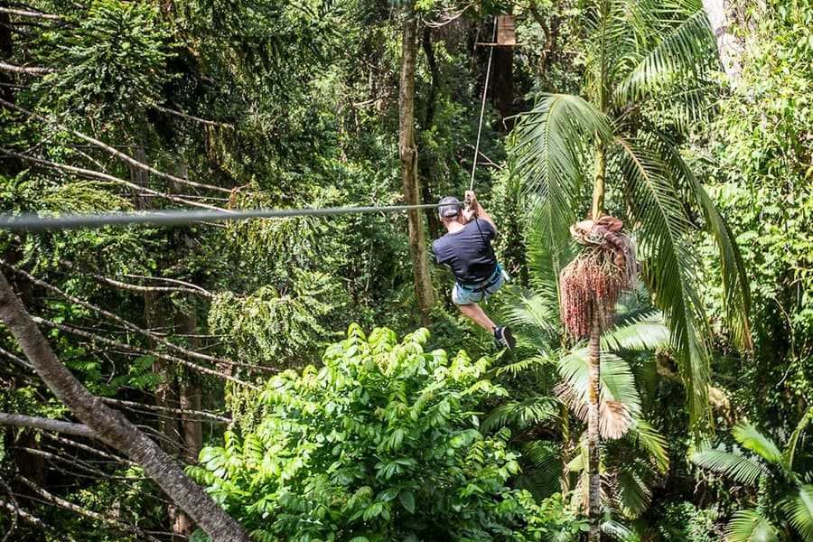 TreeTop Challenge at The Big Pineapple in Sunshine Coast, at Sunshine Coast Adventure Park, The Big Pineapple, Woombye