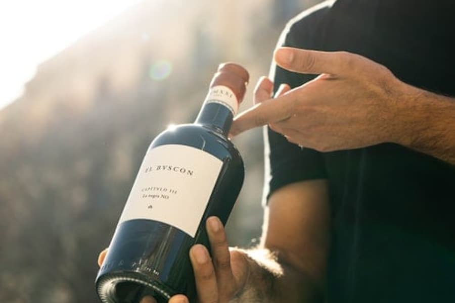 Barcelona: Small-Group Guided Food & Wine Tour, at Barcelona Wine Tours