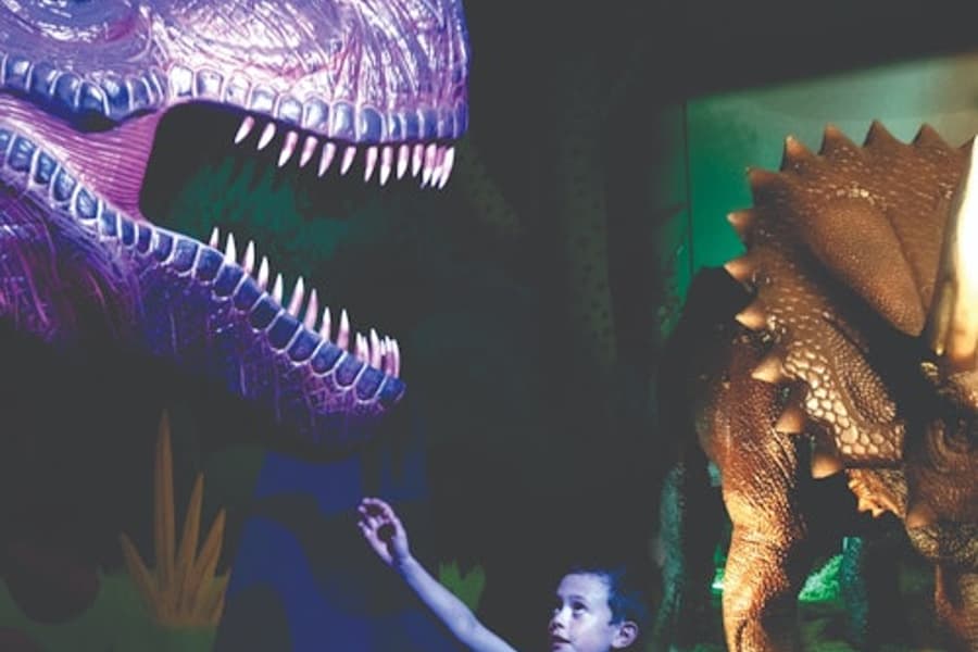Dinosaur Outpost: Entry Ticket, at Dinosaur Outpost