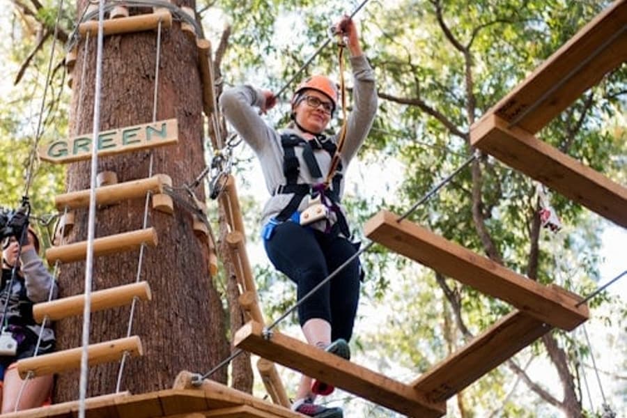 คอฟส์ฮาร์เบอร์: การผจญภัยบนยอดไม้, at Treetops Adventure Coffs Harbour, Coffs Harbour