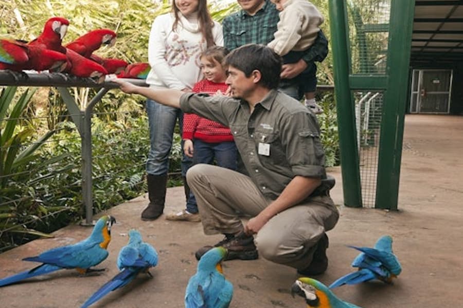 Dierentuin Temaikèn: Entree & Vervoer vanuit Buenos Aires, at Temaikèn Zoo, Buenos Aires