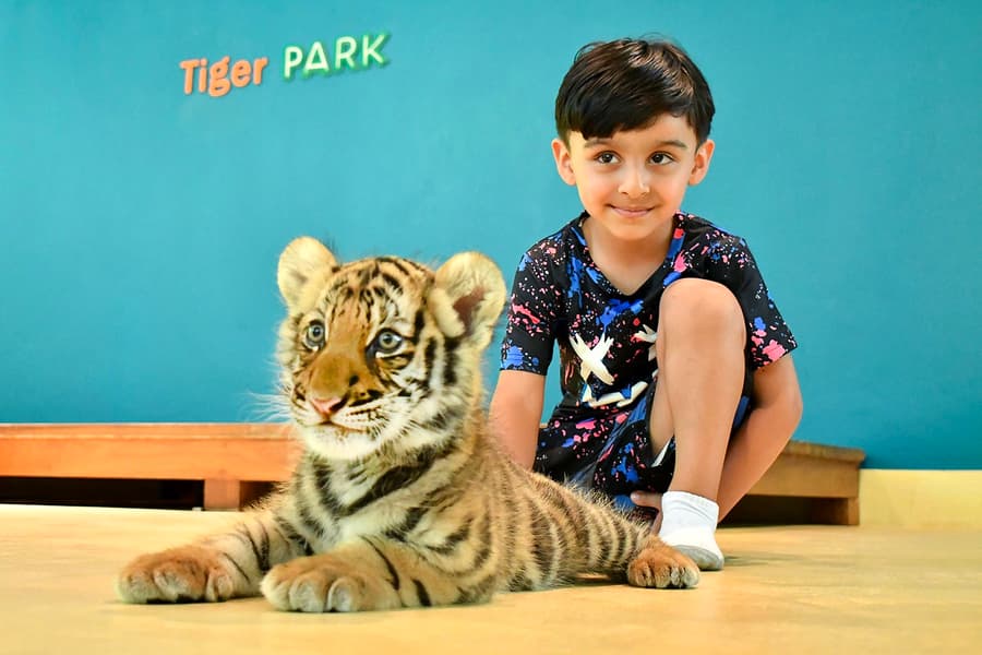 Bilhetes para o Parque dos Tigres com Interações com Tigres, at Tiger Park Phuket, Phuket