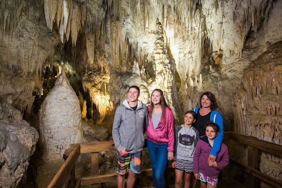 جولة إرشادية في كهف أرأنوئي, at 39 Waitomo Village Road, Waitomo Caves 3977, New Zealand, Waitomo