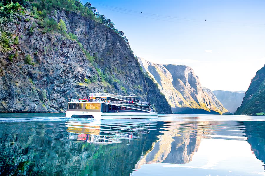 From Bergen: Nærøyfjord Cruise, Flåm, and Stegastein Guided Bus Tour, Bergen