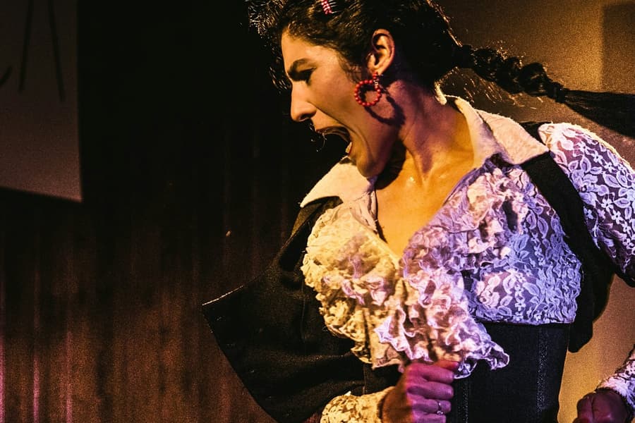 Taberna Flamenca El Cortijo: Flamenco Show + Optional Tapas, at Taberna Flamenca El Cortijo