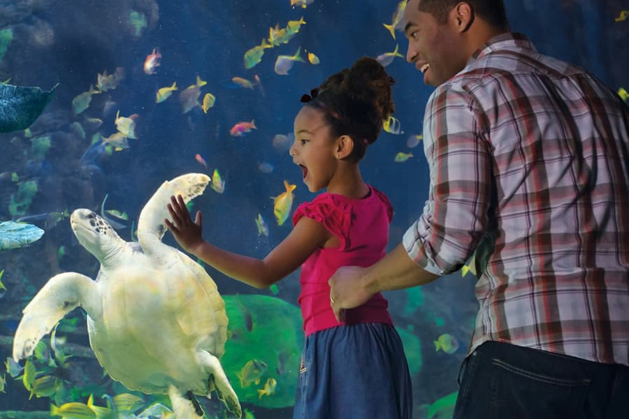 SeaWorld San Diego: Fast Track Ticket, at SeaWorld San Diego, San Diego
