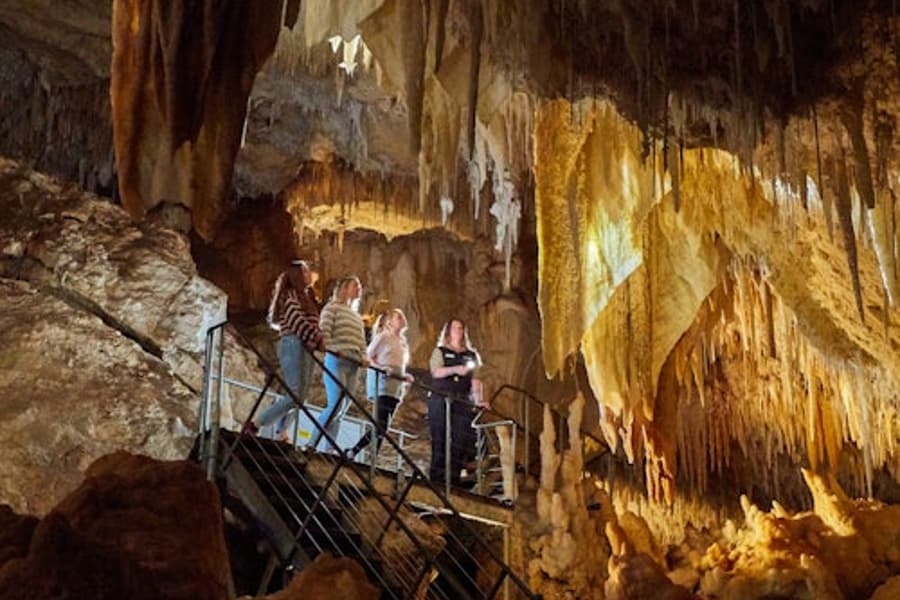 Jewel Cave Guided Tour in Western Australia, at Jewel Cave