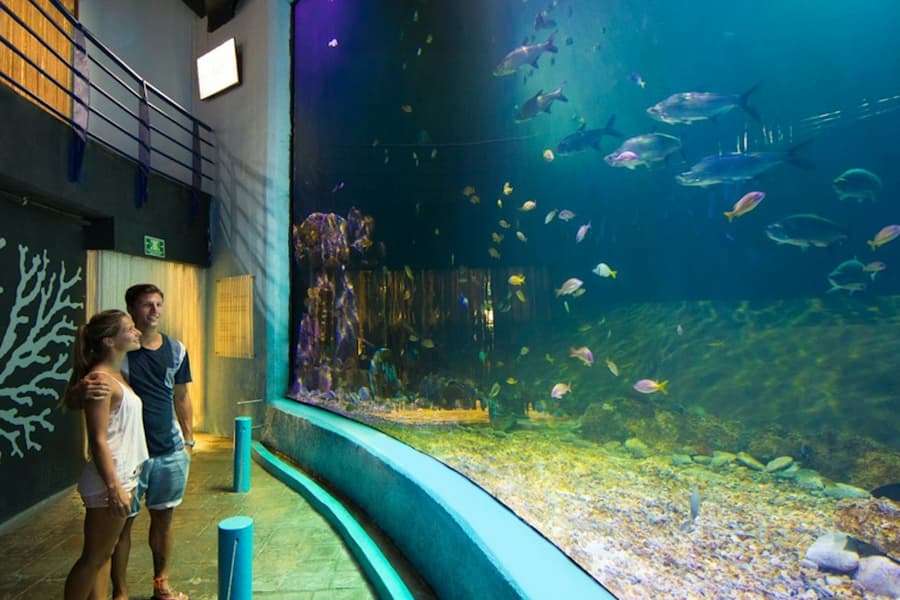 Interactive Aquarium Cancún: Entry Ticket, at Interactive Aquarium Cancún, Cancun