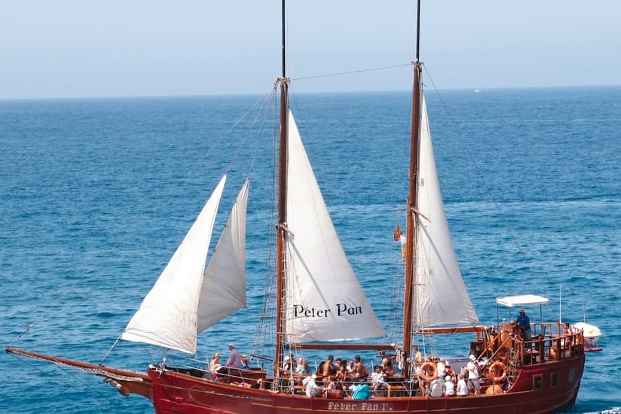 Los Cristianos: Guided Whale Watching Cruise, Los Cristianos