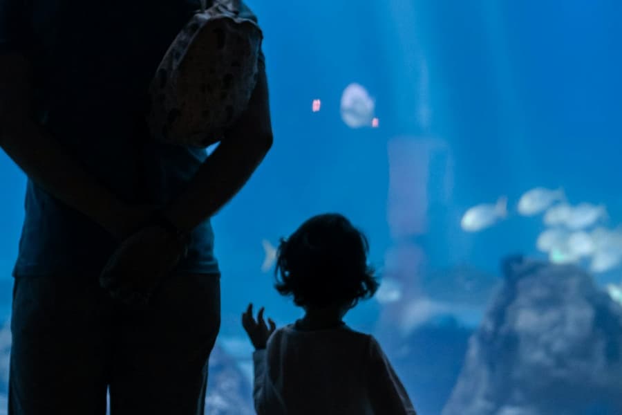 Oceanário de Lisboa: Private Guided Tour, at Oceanário de Lisboa