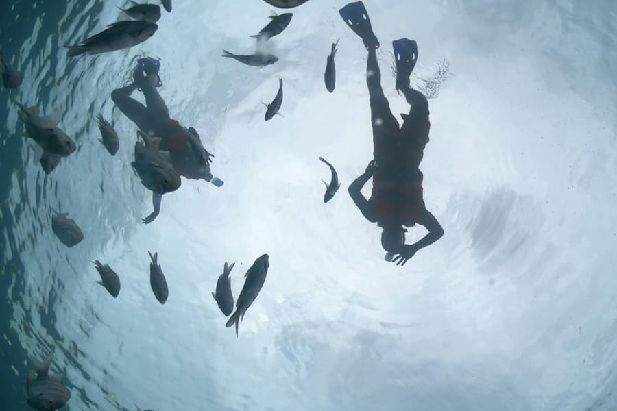 Cozumel: Glass Boat, Drinks and Snorkel Tour, at Cancún Boat and Water Activities, Isla Mujeres